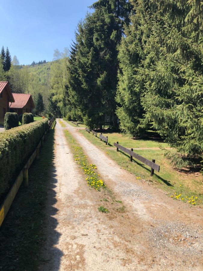 Ferienhaeuser Am Waldschloesschen Lautenthal Eksteriør billede