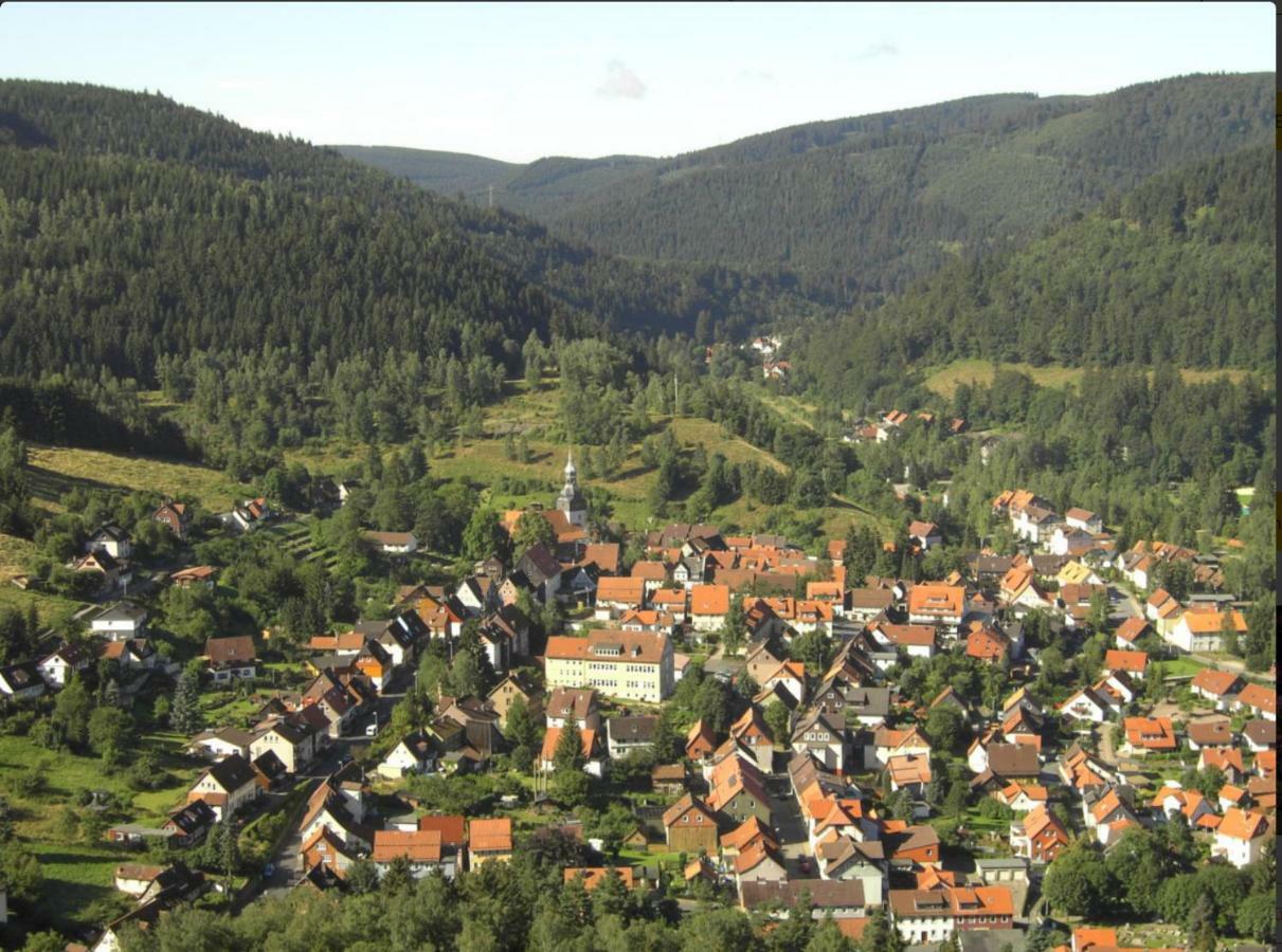 Ferienhaeuser Am Waldschloesschen Lautenthal Eksteriør billede