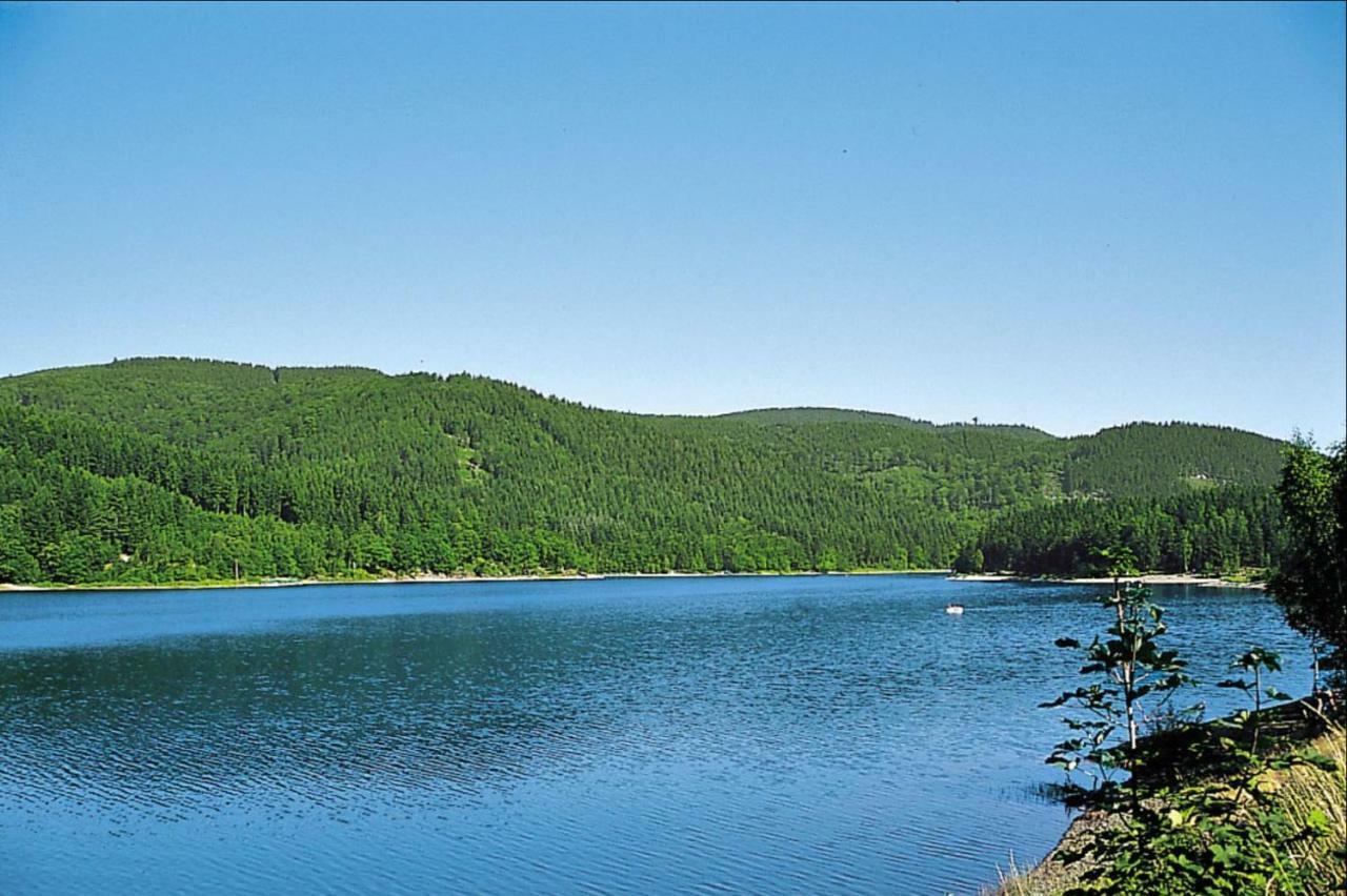 Ferienhaeuser Am Waldschloesschen Lautenthal Eksteriør billede